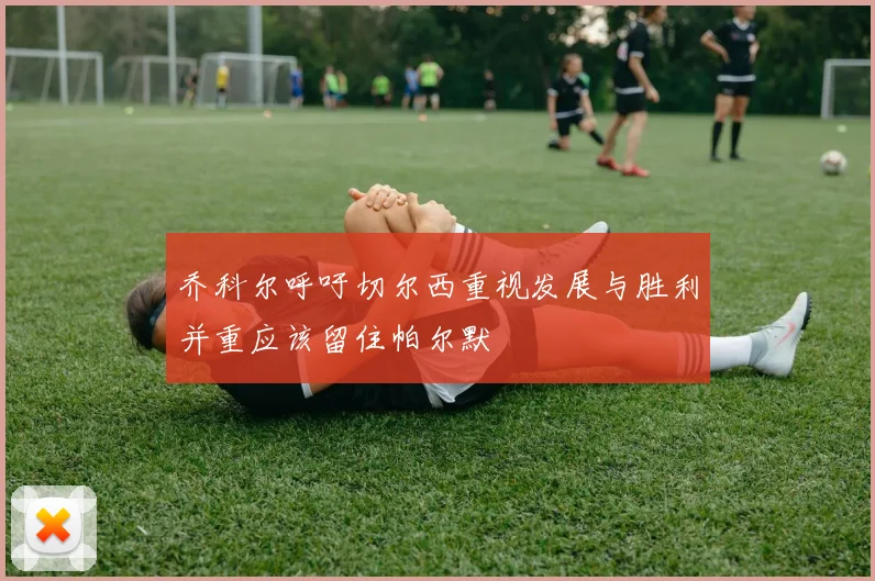 乔科尔呼吁切尔西重视发展与胜利并重应该留住帕尔默