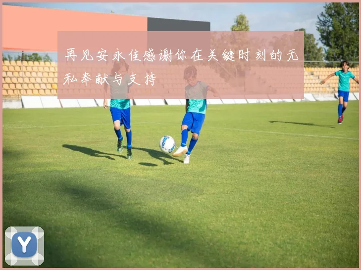 再见安永佳感谢你在关键时刻的无私奉献与支持